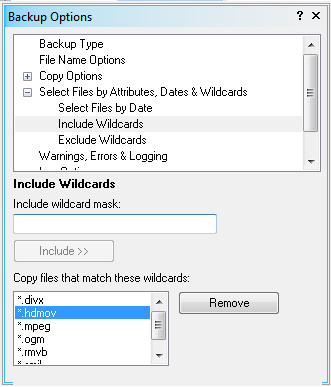 Include files, based on wildcard strings (masks)